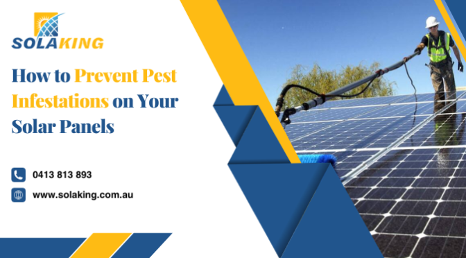 How to Prevent Pest Infestations on Your Solar Panels