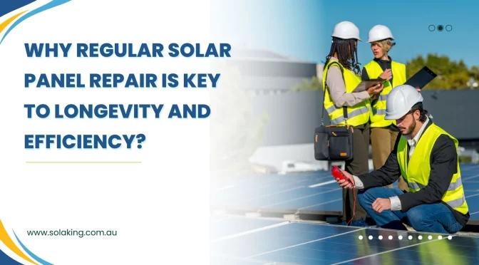 Solar Panel Repair